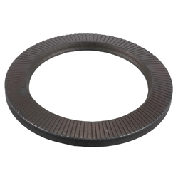Flat Spring Washer for Hex Bolts