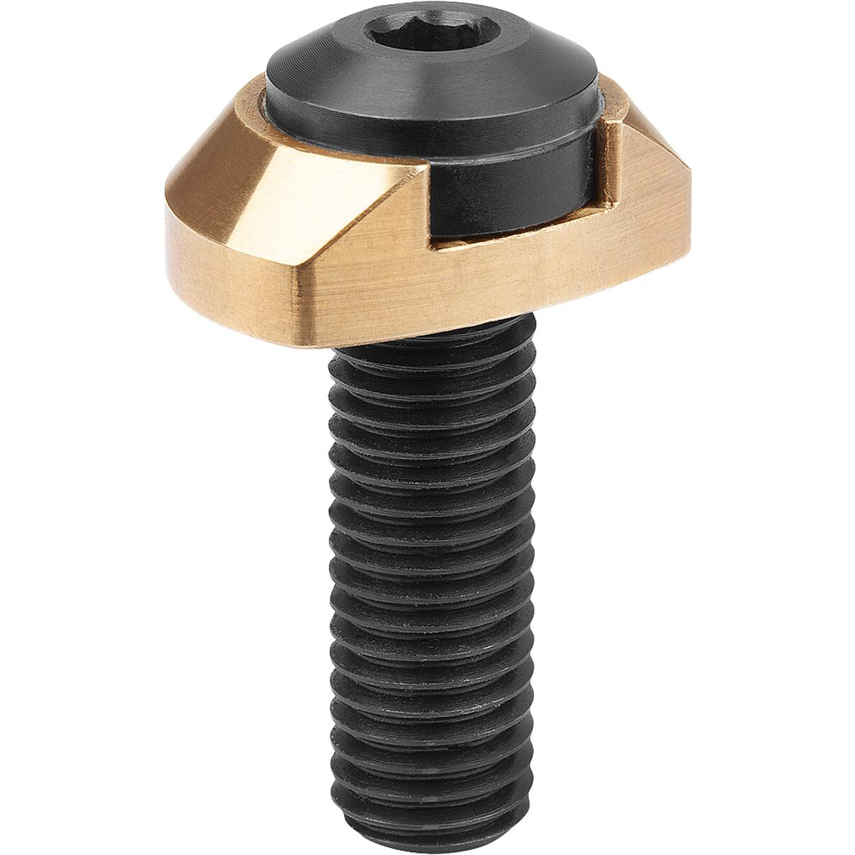 Clamping screw with clamping ring for flexible clamping bolt, Form B (K2069)