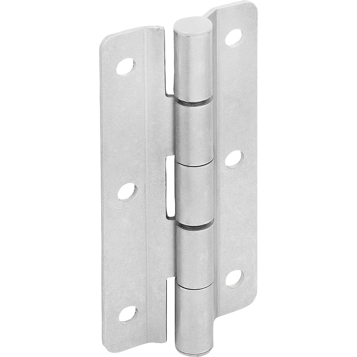 Hinges, Stainless Steel, Form A (K1517)