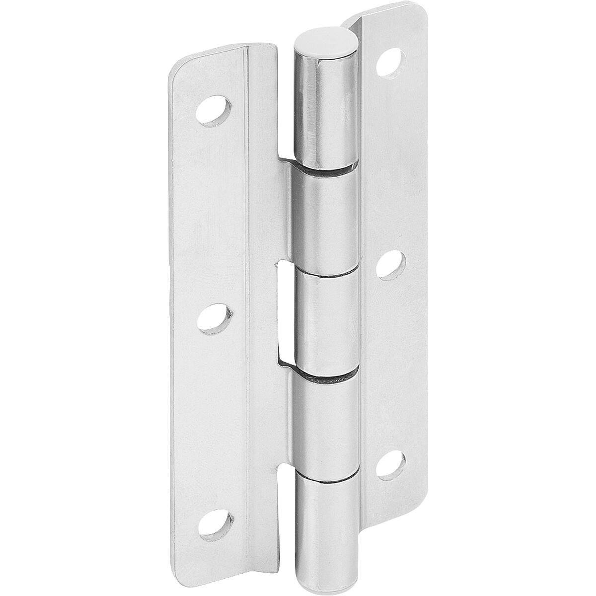 Hinges, Stainless Steel with preset friction, Form B (K1518)