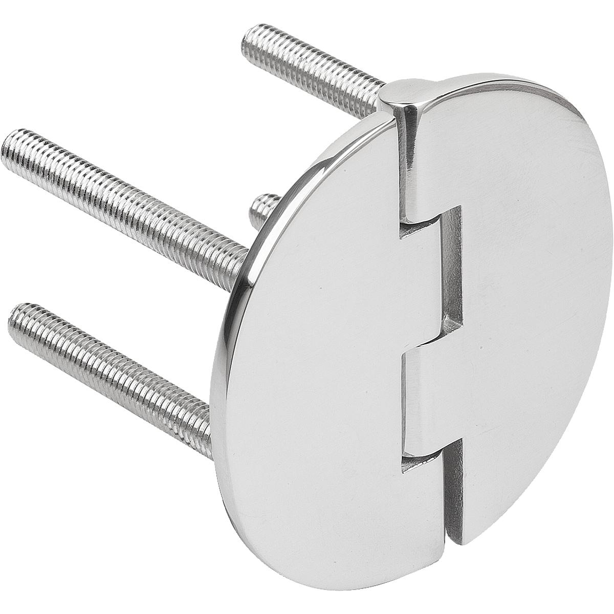 Stainless Steel hinges with fastening screws, Form B (K1810)