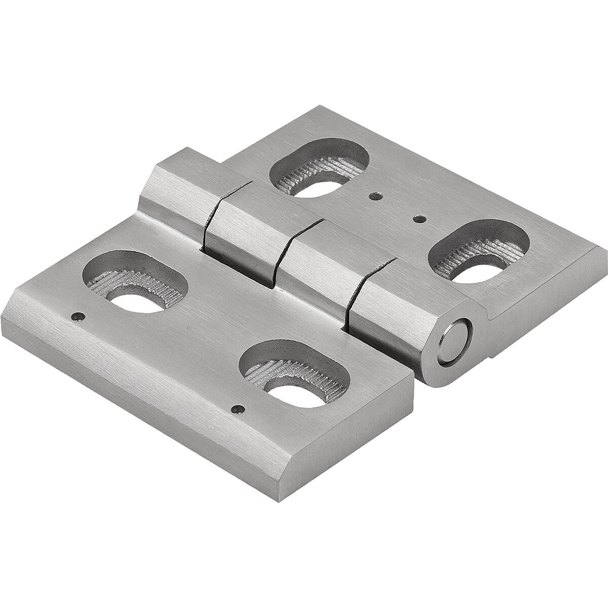 Hinges Stainless Steel adjustable (K1900)