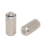 Stainless Steel Case Plunger (Cylinder Model) (SBPC)