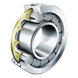 Cylindrical Roller Bearing, LSL1923 with Disc Cage, Single Row, Semi-Locating Bearing