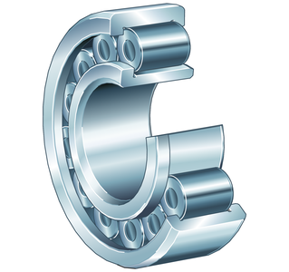 Cylindrical Roller Bearing SL19, Full Complement, Double Row