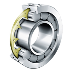 Low-Friction Cylindrical Roller Bearing LSL1923, Single Row