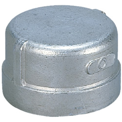 Stainless Steel Screw-In Tube Fitting, Cap