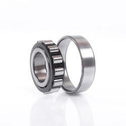 Cylindrical roller bearings  ECP Series