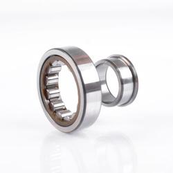 Cylindrical roller bearings  ECPVB021 Series