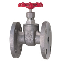 Stainless Steel General-Purpose 10K Gate Valve Flange