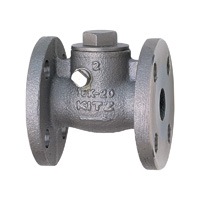 Stainless Steel General-Purpose 10K Swing Check (SCS13A) Valve Flange UOB-25A