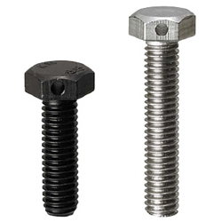 Hex Head Screws with Hole