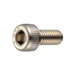 Hex Socket Head Cap Screw (Electroless Nickel Plating) - SNS-EL