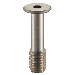 Ultra Low Hex Socket Head Drop Out Prevention Screw _SSCHS