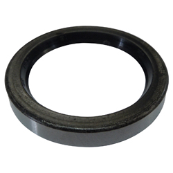 Dust Seal (DS) DS40
