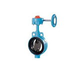 Rubber Seated Butterfly Valve 602A-G (Gear Type) 602A-G-21/2B-5K