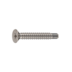 Cross Recessed Flat Head Tapping Screws, 2 Models with Guide, BRP Shape, G=5 CSPCSSG5-SUSTHW-TP4-35