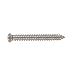 Cross Recessed Small Raised Countersunk Head Tapping Screw, Type 1 A Shape CSPRDSK-SUS-TP4-10