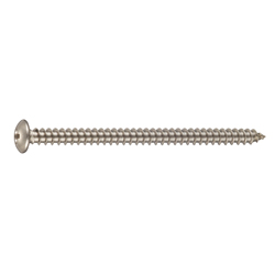 Cross Recessed Small Head Truss Tapping Screw, Type 1 A Shape CSPTRSK-SUSSP1-TP4-10