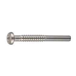 Cross Recessed Pan Head Tapping Screw, Type 2 with Guide / Neck BNRP Shape, G=20
