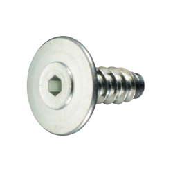 Thin, Ultra-Low Head TH Type Tapping Screw with Hexagonal Socket, B=0
