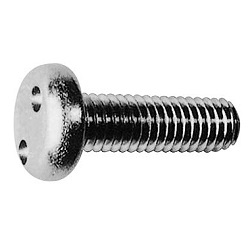 TRF / Tamper-Proof Screw, Stainless Steel, Two-Hole, Small Pot Screw CS2PNH-SUS-M4-10