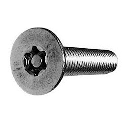 TRF / Tamper-Proof Screw, Stainless Steel Pin, Small Plate TRX Screw CSXCSHP-SUS-M6-40