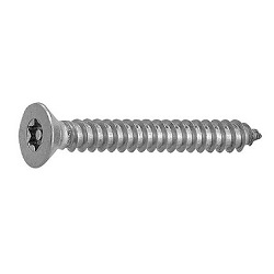 TRF / Tamper-Proof Screw, Stainless Steel Pin, Small TRX and Plate Tapping Screw (4 Models, AB Type) CSXCST-SUS-TP4.8-25