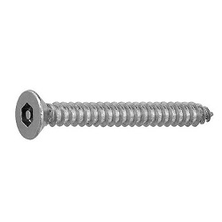 TRF / Tamper-Proof Screw, Stainless Steel Pin with Hexagonal Hole, Small Plate Tapping Screw (4 Models, AB Type)
