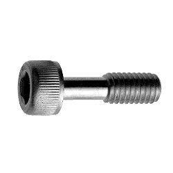 Stainless Steel Bolt with Hex Socket (Loss Prevention Screw)