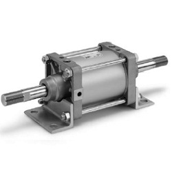 CS2W Series Double Rod Type Air Cylinder