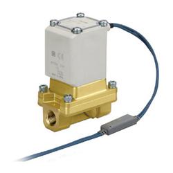 Pilot Operated 2-Port Solenoid Valve for Steam, VXS2 Series