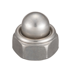 Iron / Stainless Steel Stable Cap Nut