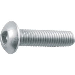 Triangular Socket Button Bolt (Stainless Steel) B101-0510