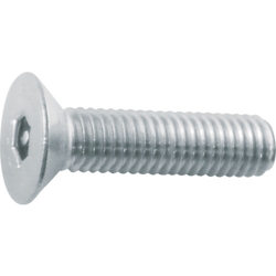 Hex Socket Countersunk Bolt with Pin (Stainless Steel)