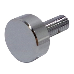 Decorative Screw