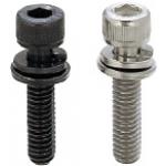 Screw-Washer Assembly